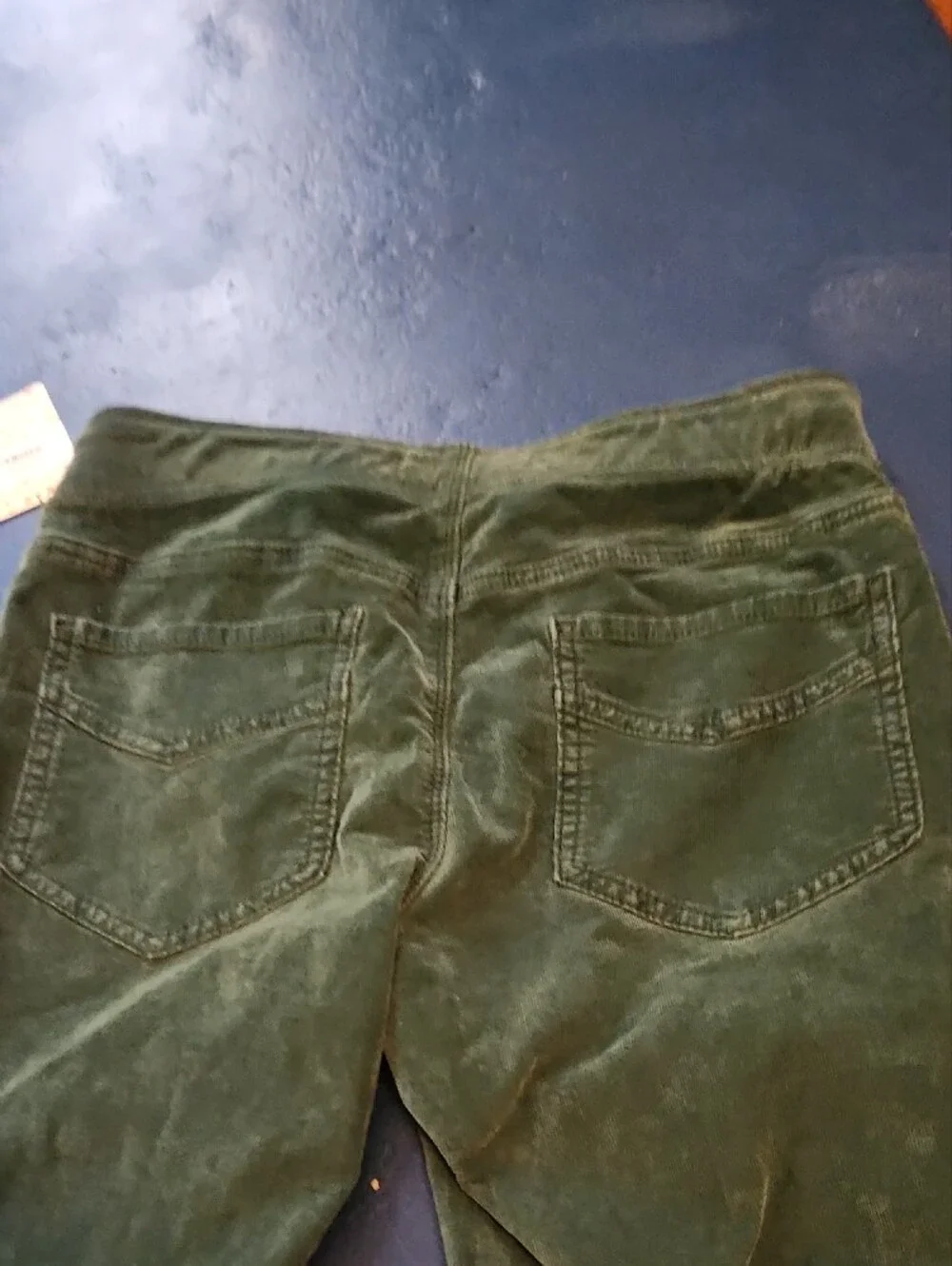 Free People Pine Needle Corduroy Pants in Deep Green